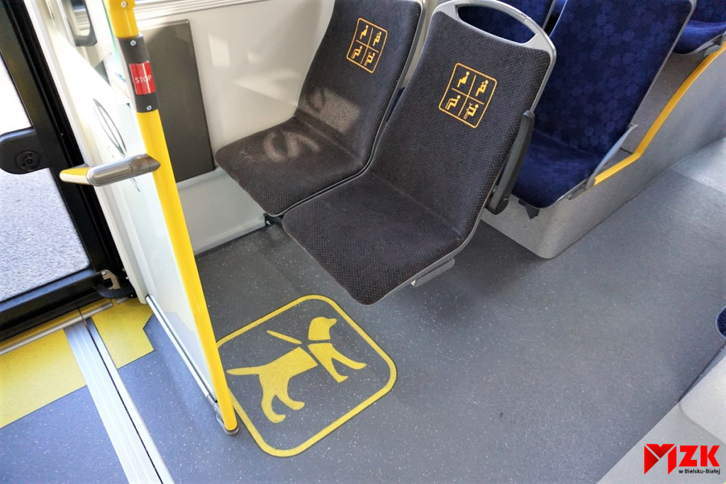 wnętrze autobusu