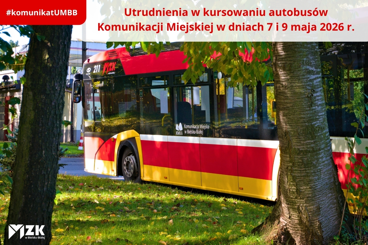 Zdjęcie autobusu na tle drzew